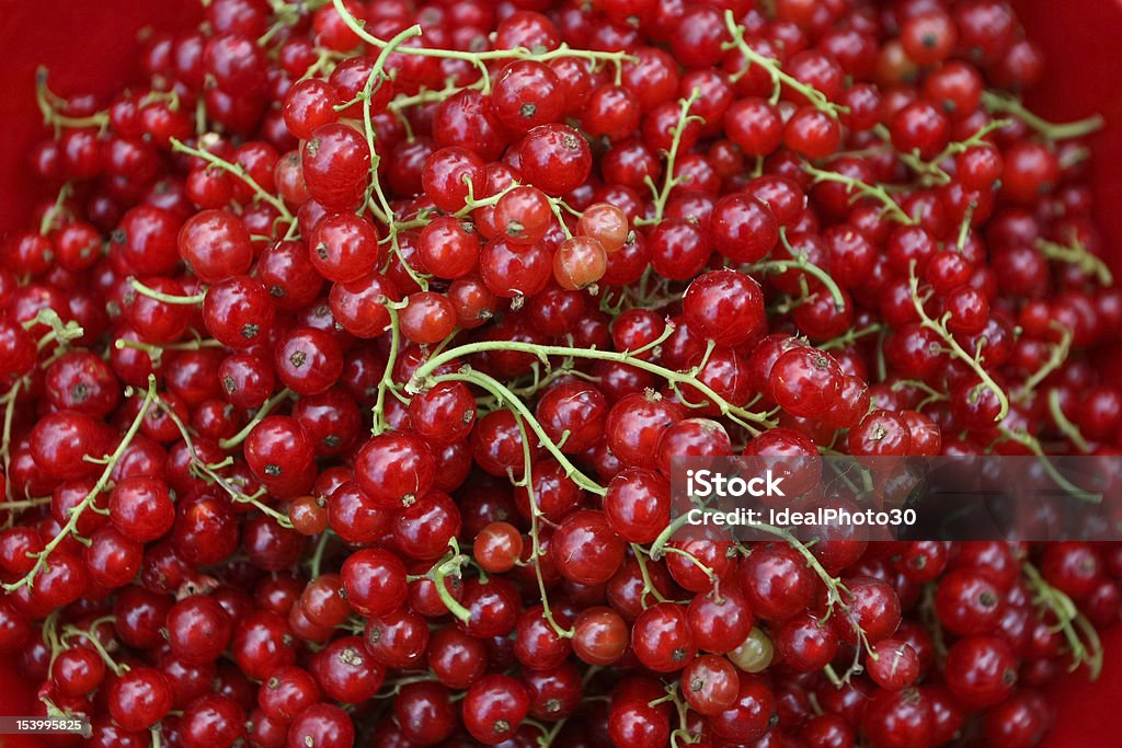 Close up of currants Close up of group of red currants Basket Stock Photo