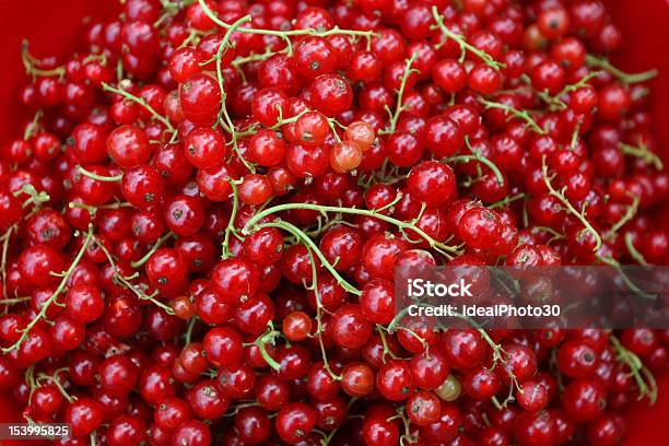 Close Up Of Currants Stock Photo - Download Image Now - Basket, Bunch, Close-up