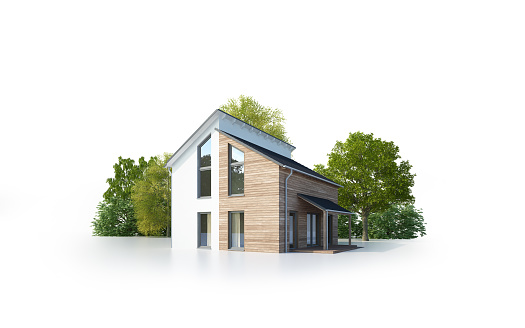 3d rendering of an isolated modern house with pent roof and wooden elements