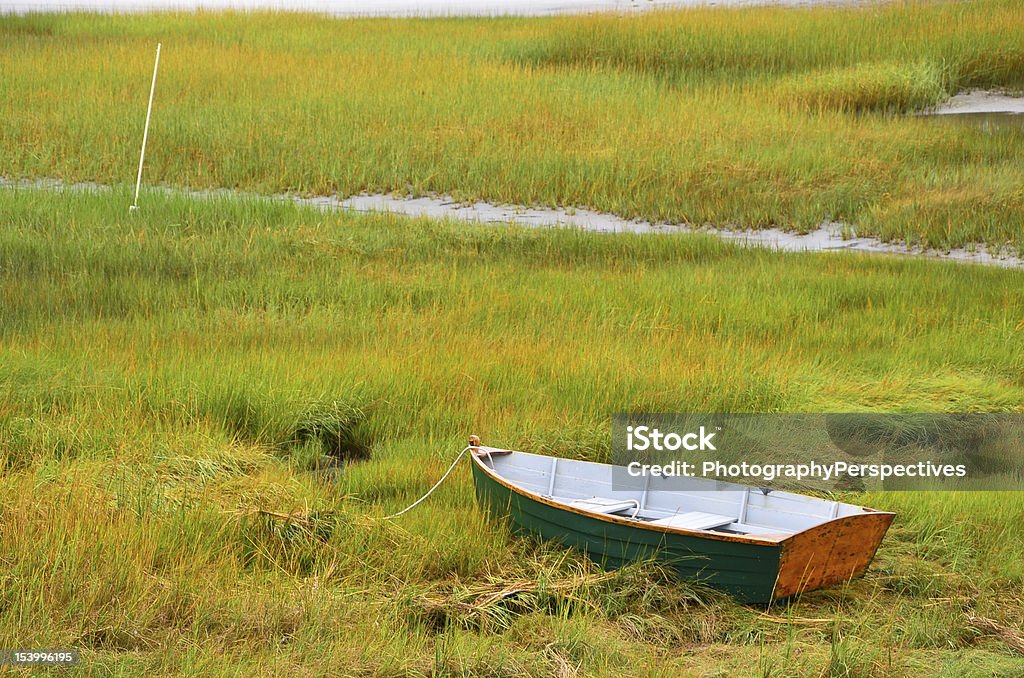 Старый Деревянный Гребная лодка в болоте - Стоковые фото Без людей роялти-фри