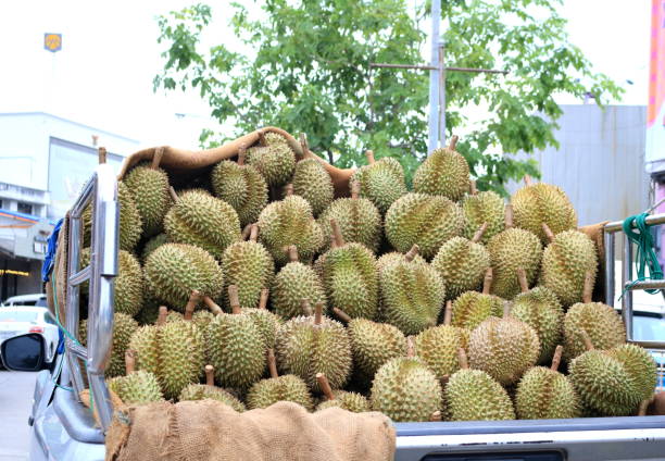 istock Durian fruits on truck. 1539962490