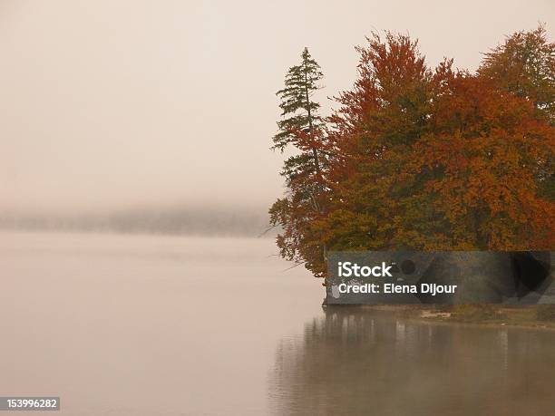 Niebla Sobre El Lago Reflexión Otoño Bohinjsko Jezero Eslovenia Foto de stock y más banco de imágenes de Aire libre