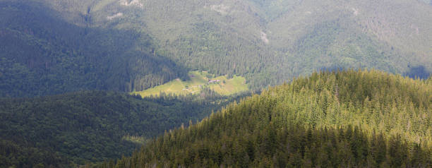 blick auf ein bergdorf im wald, breiter hintergrund. - sky blue grass green stock-fotos und bilder