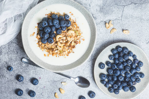 istock Granola with yogurt and blueberries in a plate on a gray background 1540021992