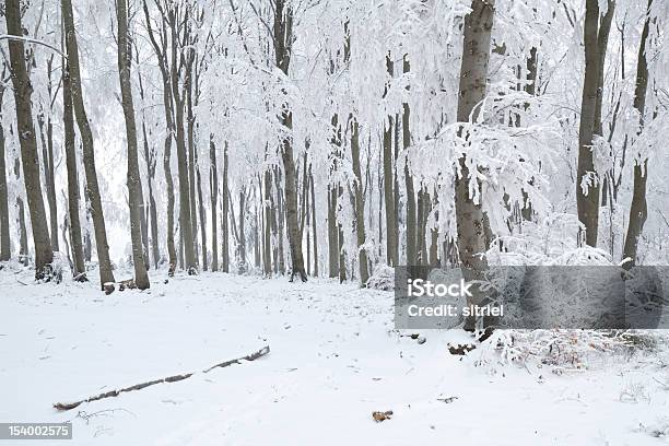 Piękna Zima W Polsce - zdjęcia stockowe i więcej obrazów Bez ludzi - Bez ludzi, Biały, Chłodny