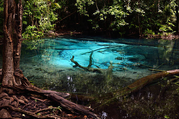 Blue lagoon in the jungle