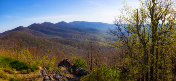 istock Blue Ridge Parkway in North Carolina, USA 1540048389