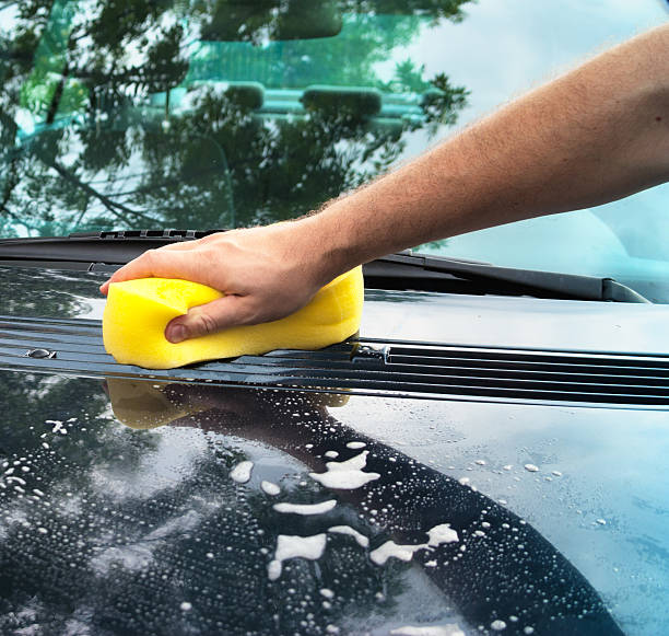 istock Hand Car Wash Sponge 154005534