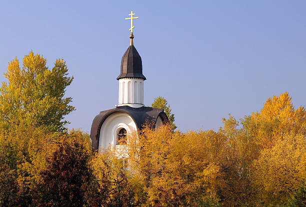ouro branco capela e árvores - cupola gold russian orthodox autumn imagens e fotografias de stock