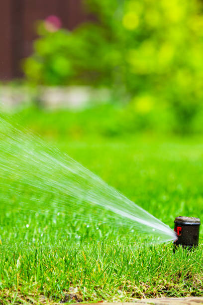 istock Irrigation system in home garden. Automatic lawn sprinkler watering green grass. Selective focus. 1540064198