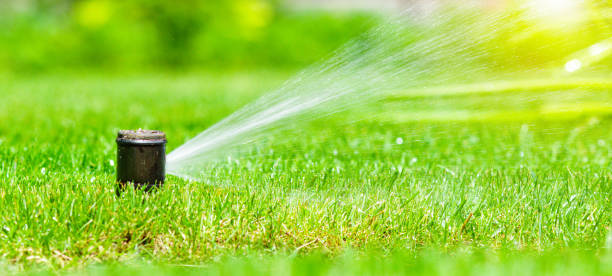 istock Irrigation system in home garden. Automatic lawn sprinkler watering green grass. Selective focus. 1540065281