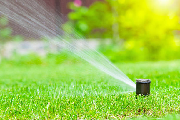 istock Irrigation system in home garden. Automatic lawn sprinkler watering green grass. Selective focus. 1540066179