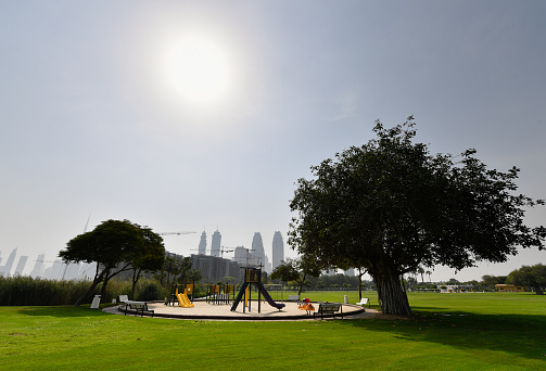 Safa park in Dubai on a summer’s morning