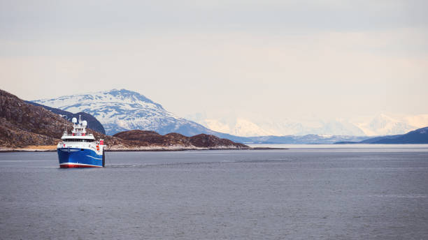 istock Senja island landscape during springtime 1540079634