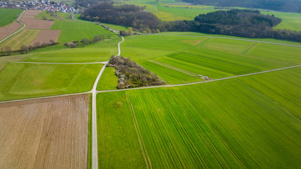 istock Country road through agriculture fields 1540088776