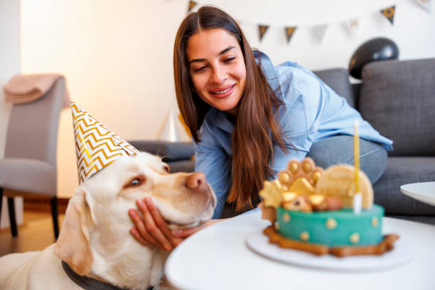 istock Dog having a birthday party with his owner 1540093972