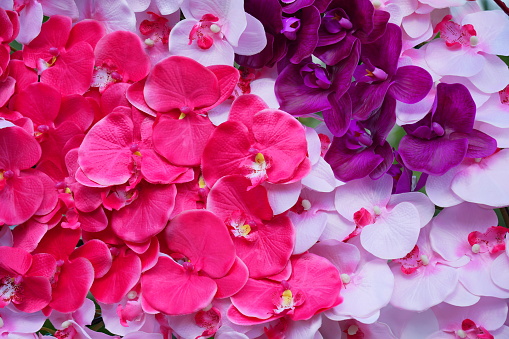 Close up artificial colorful flower background