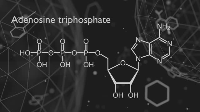 Adenosine triphosphate or ATP molecule, is intracellular energy transfer and required in the synthesis of RNA. Structural chemical formula