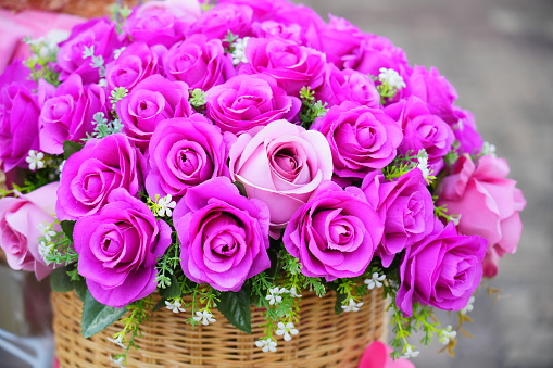 A beautiful bouquet of pink roses in garden