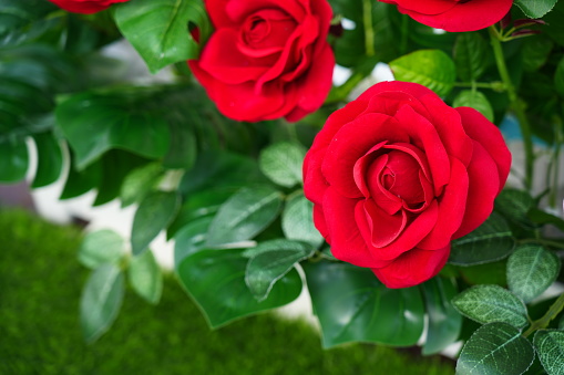 The artificial  red rose in garden background