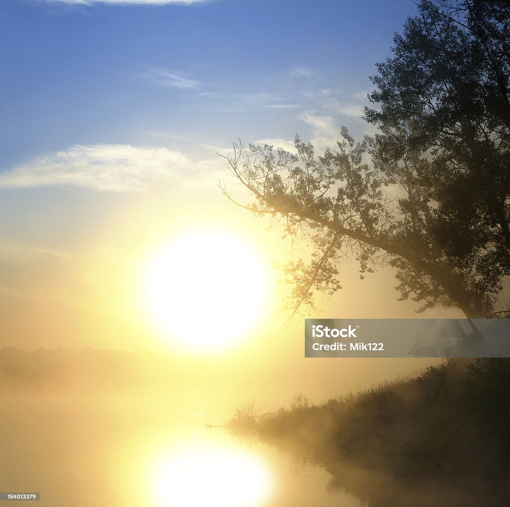 Beau lever de soleil sur la rivière brumeux - Photo de Arbre libre de droits