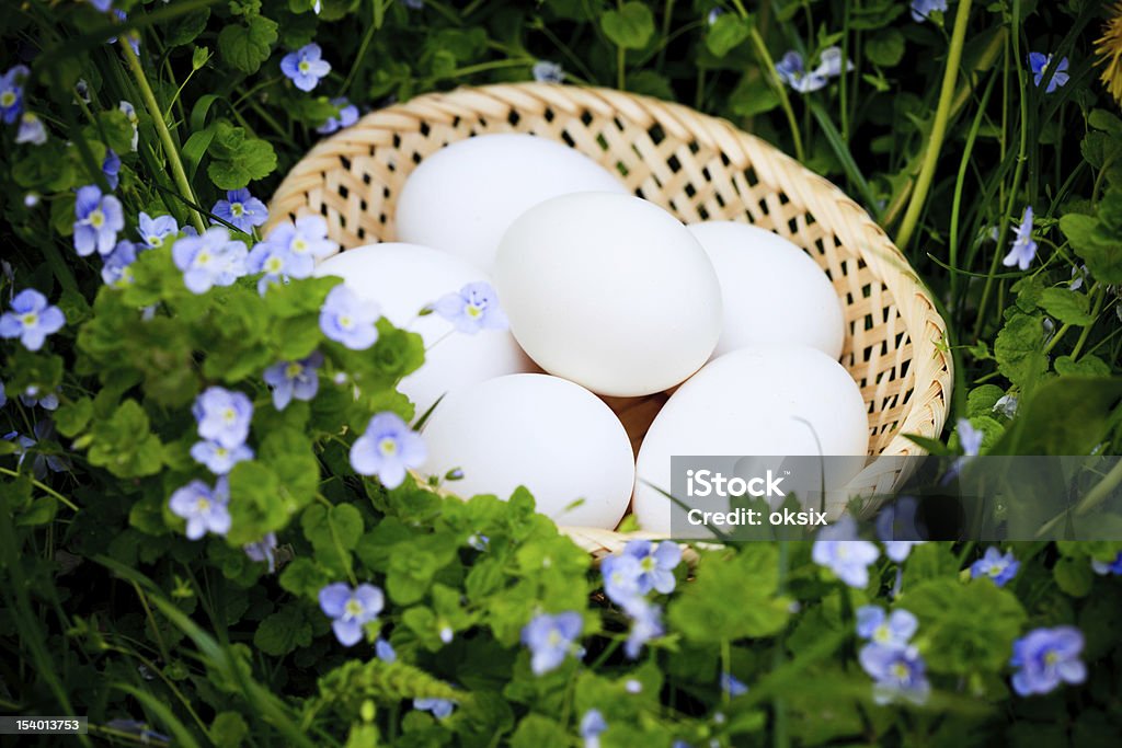 Huevos sobre hierba - Foto de stock de Alimento libre de derechos