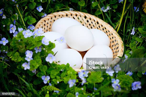 Huevos Sobre Hierba Foto de stock y más banco de imágenes de Alimento - Alimento, Arriba de, Blanco - Color