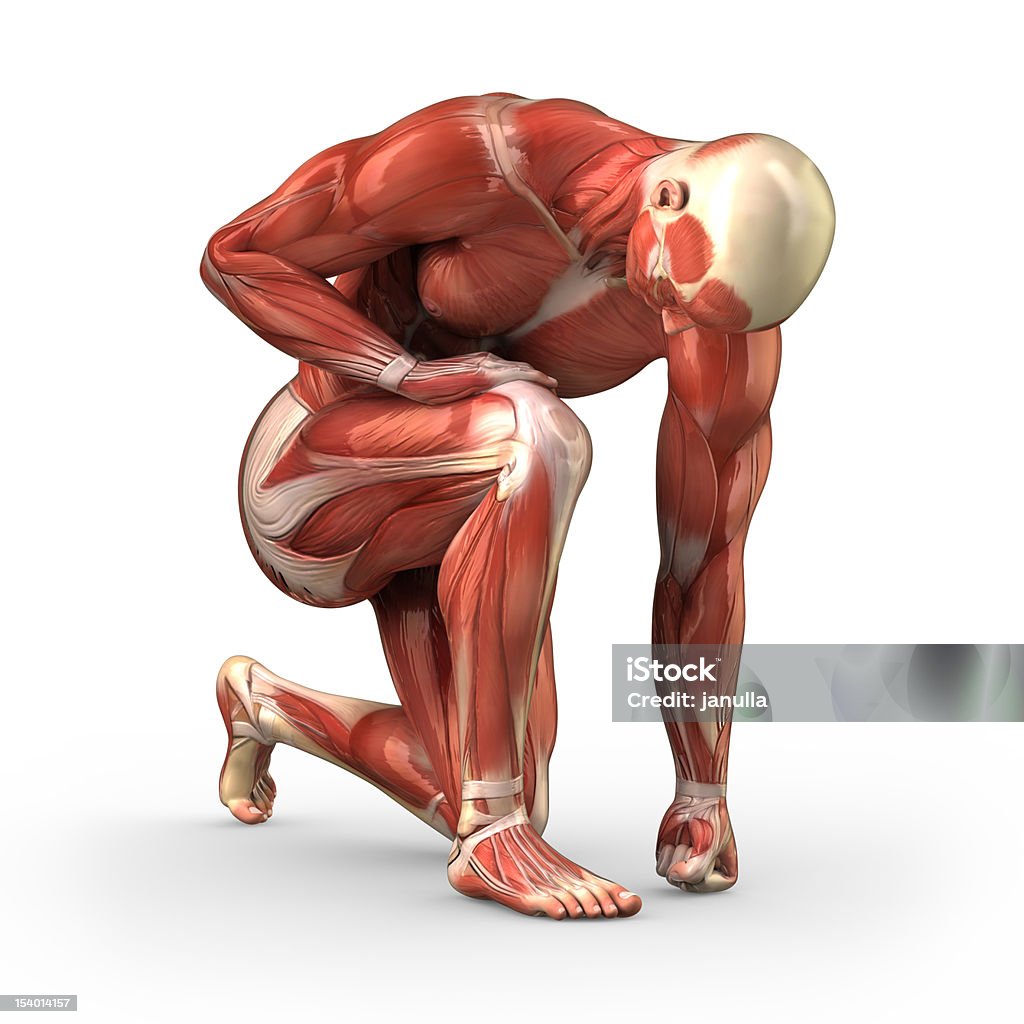 筋肉の男性に見える筋肉-クリッピングパス - ひざまずくのロイヤリティフリーストックフォト