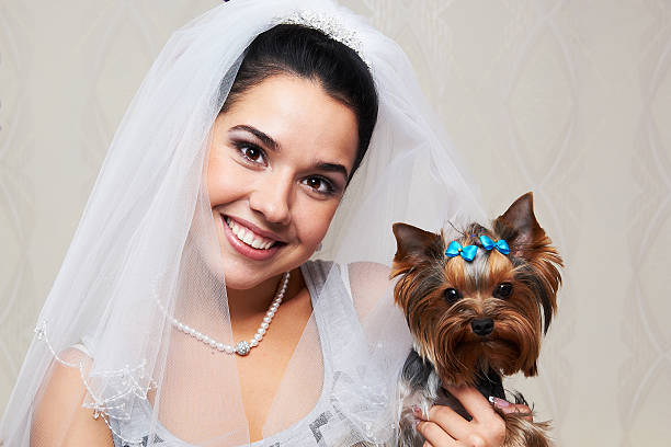 istock Portrait of a bride with small dog 154017159