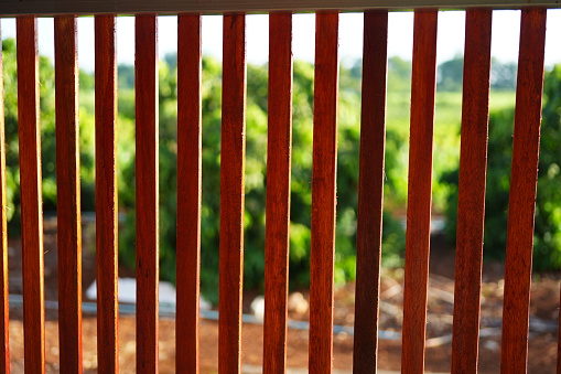 slatted fence wooden background