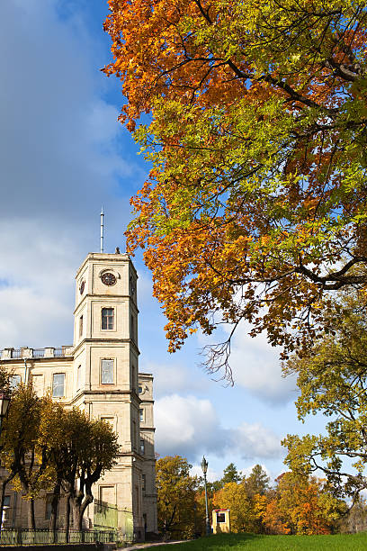 istock Russia,Gatchina, bright autumn tree in park near a palace 154018044