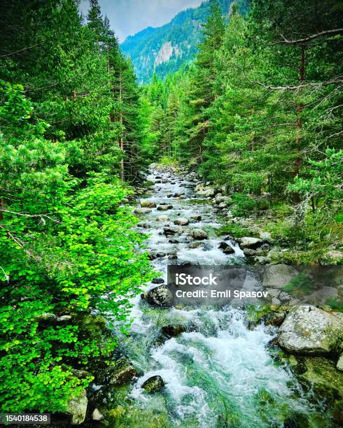 The River Stock Photo - Download Image Now - Bulgaria, Color Image, Mountain