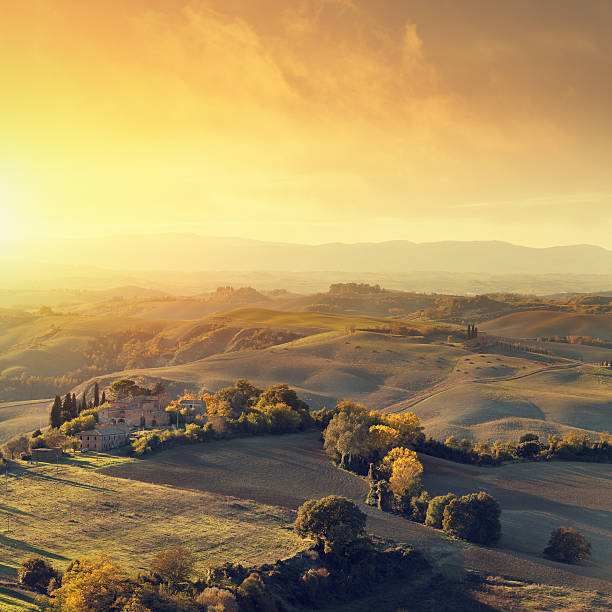 istock Farm in Tuscany 154018744