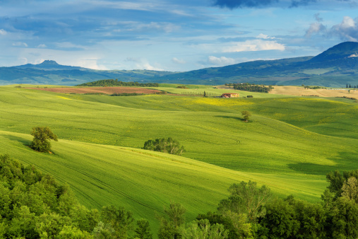 Green hills of Tuscany in the spring