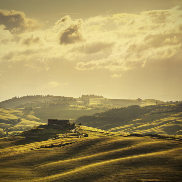 istock Hills of Tuscany 154018857