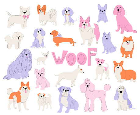 Vector abstract multicolored pets illustration.