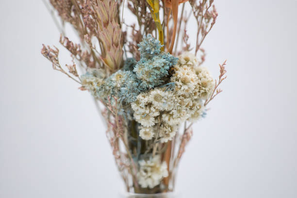 istock Bouquet of beautiful dried flowers 1540197764
