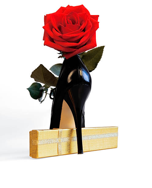 rose and high heels Red rose and a black shoe on a white background beauty and beast rose stock pictures, royalty-free photos & images