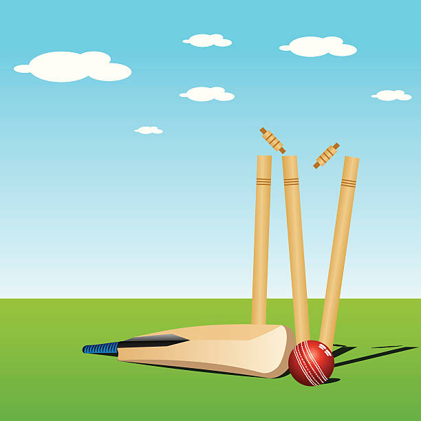 cricket vector art illustration