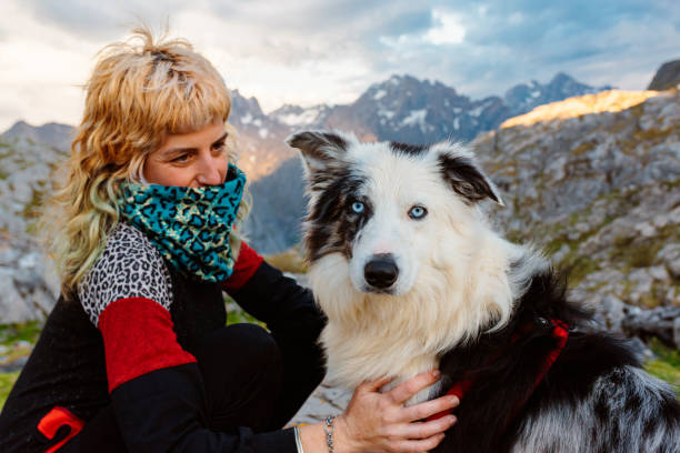 istock sport and travel with pet 1540210239