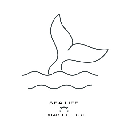 Sea Life - Editable Stroke. layered illustration