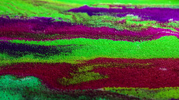 istock Multicolored Abstract Swirling Bubbles. Wave Fluid Abstract Background. Chemical Reactions, Chaotic Motion, Flow Expansion. Biological Research, Moving Particles, Ink Diffusion. 3D Rendering 1540216014