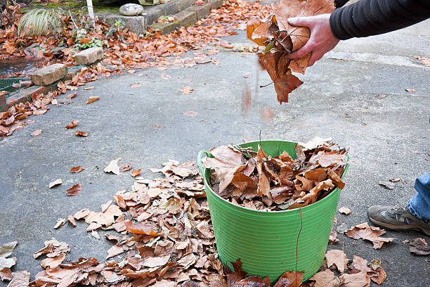 istock garden maintenance collecting autumn leaves 154024199
