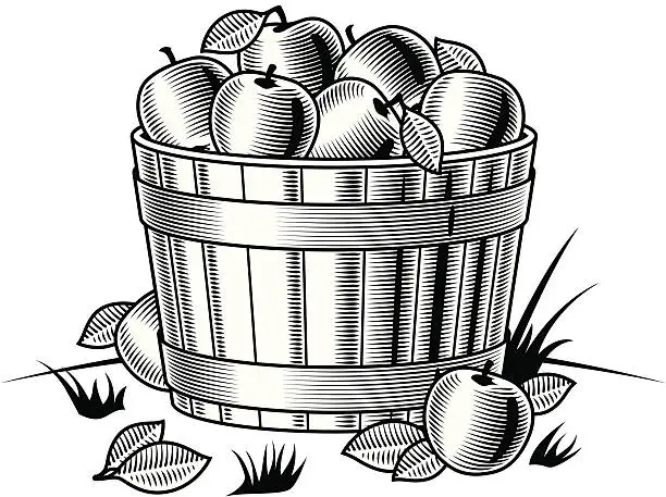 Vector illustration of Retro bushel of apples black and white