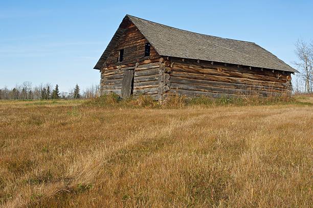 istock old abandoned farm building: log barn or shed 154025036