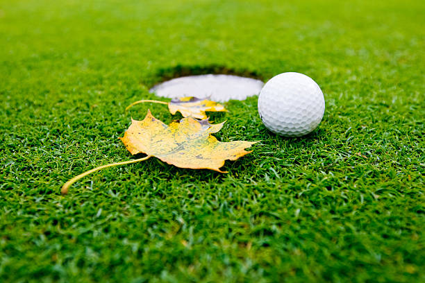 Golf ball \