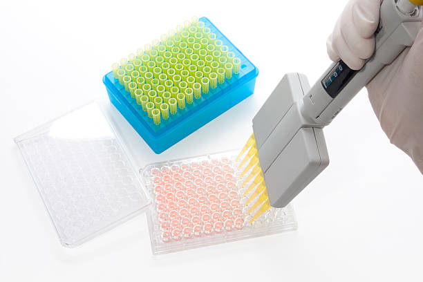 Scientist with pipette stock photo