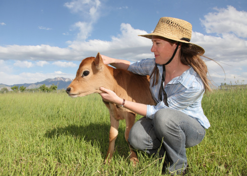 young farmer woman with little baby cow in grassy field