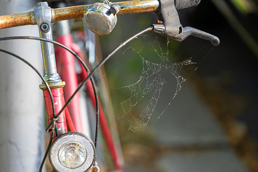 Close up of old bicycle with rust and cobweb , Berlin Wilmersdorf