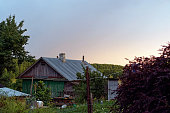 Rural house at sunset in summer